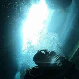 A Closer Look at the Great Blue Hole Dive Site in Belize
